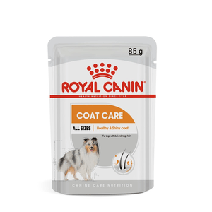 Ração Úmida Royal Canin Sachê Coat Beauty para Cães Adultos